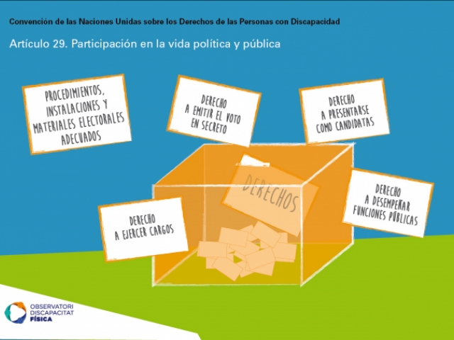 Artículo 29 Participación en la vida política y pública