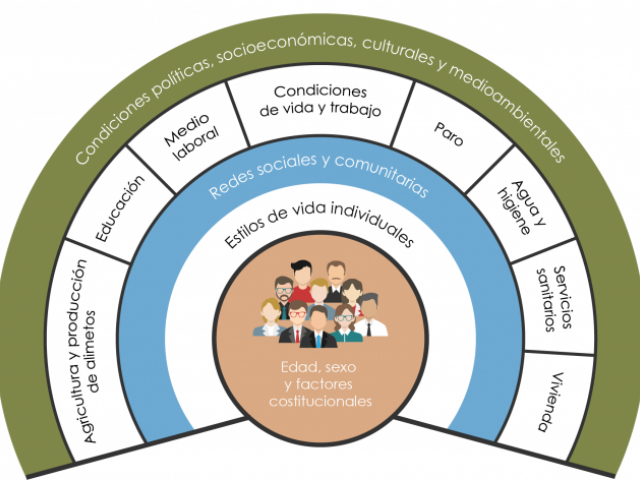  Determinants socials de les persones: educació, mitjà laboral, condicions de vida i feina, atur, aigua i higiene, serveis sanitaris, habitatge, agricultura i producció d&#039;aliments.