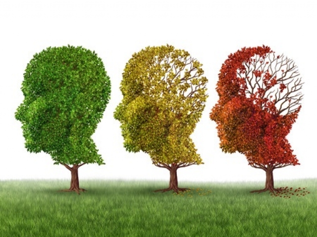 Efectos de la salud mental en la salud física